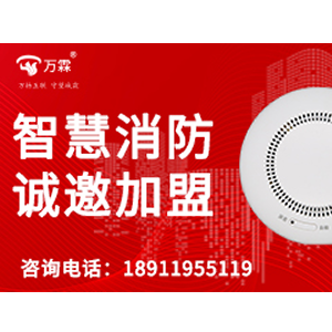 Bangladesh smoke test device - Global Smoke Detector Tester Export Solution | Wanlin Regional maRket